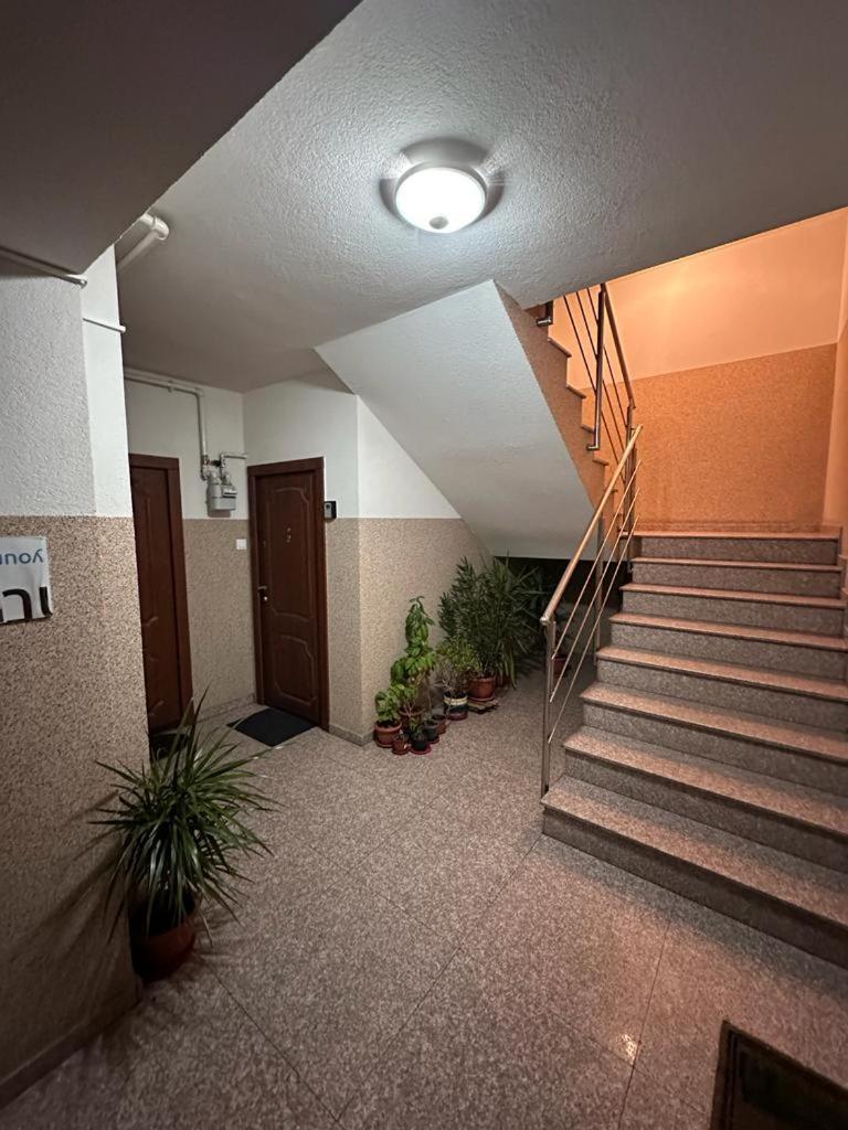 Marului Residence 布加勒斯特 外观 照片